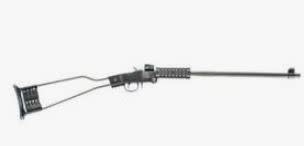 Chiappa Little Badger 22 WMR 500.110