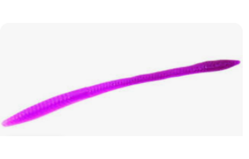 Zoom Magnum Trick  Worm 7" 8pk