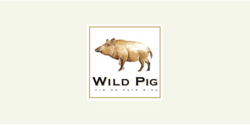 wild pig
