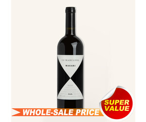 gaja-gaja-ca-marcanda-magari-