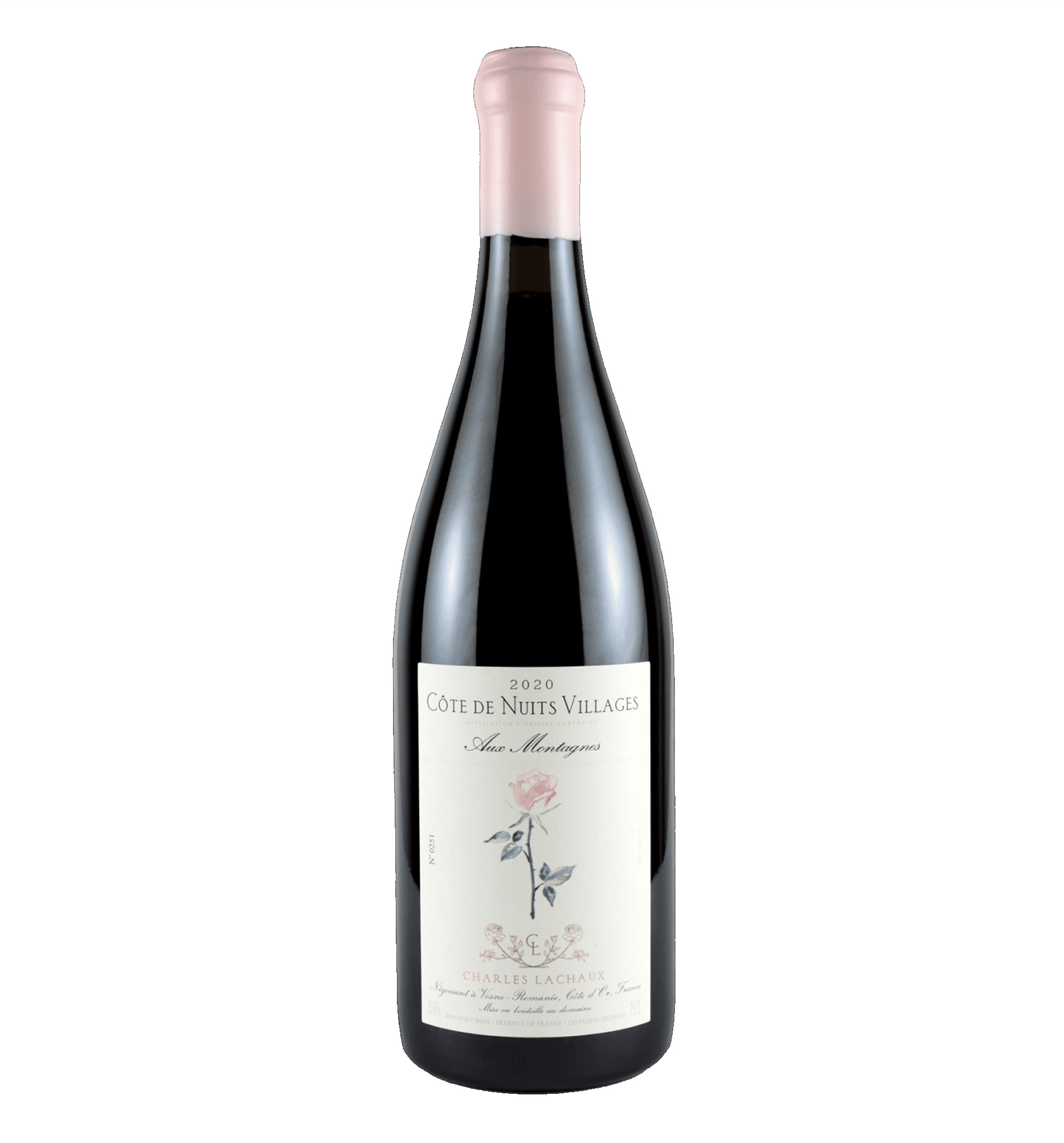 Chicotot - Nuits St. Georges 