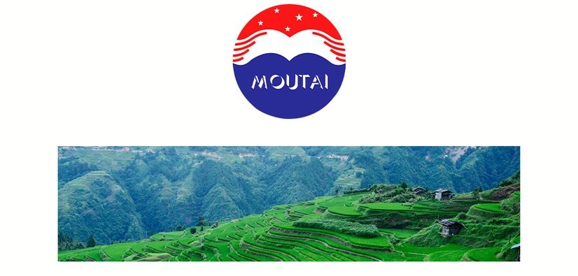 Moutai Prince Classics (Twin Pack) 500ml X 2 茅台王子酒两 Moutai Prince Classics (Twin Pack) 500ml X 2 茅台王子酒两