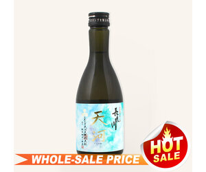 Nagaragawa Tenkawa Junmai Ginjo Sake 300ml 長良川天河純米吟醸酒