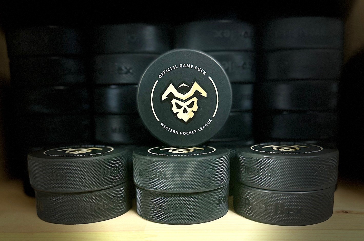 Official Game Pucks - SKULL