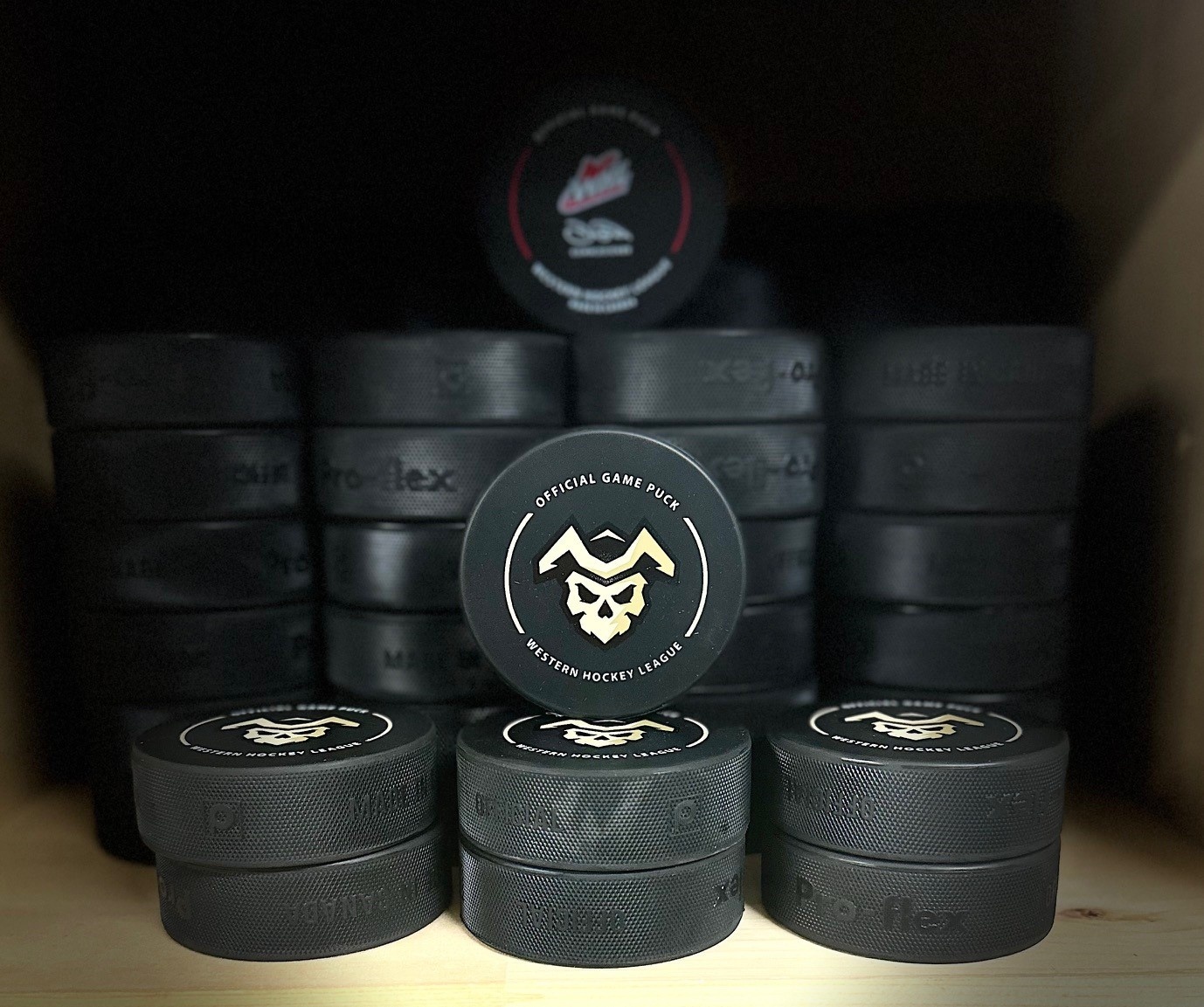 Official Game Pucks - SKULL