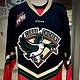 PROJOY Raiders COBRA CHICKEN Replica Jerseys
