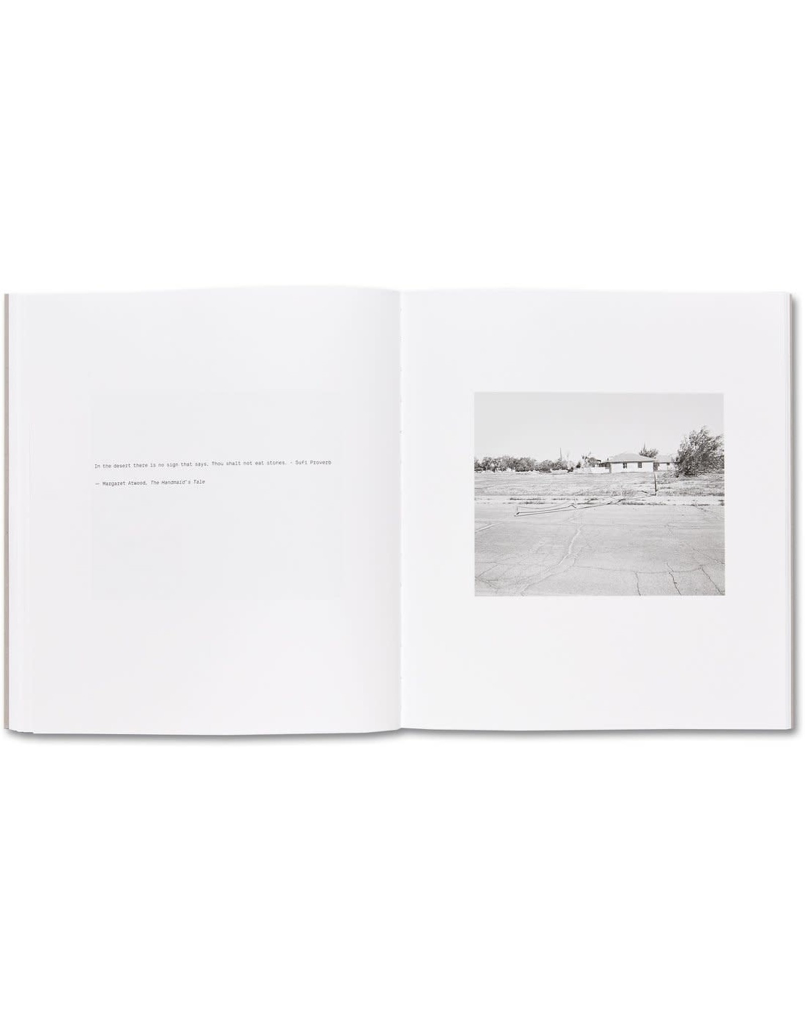 Susan Lipper: Domesticated Land (Signed)