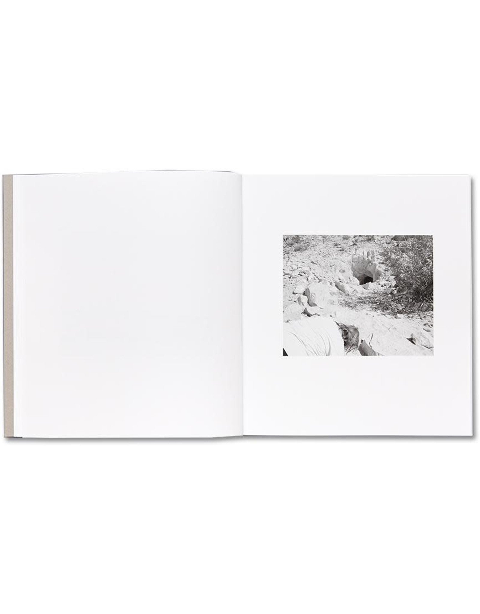 Susan Lipper: Domesticated Land (Signed)