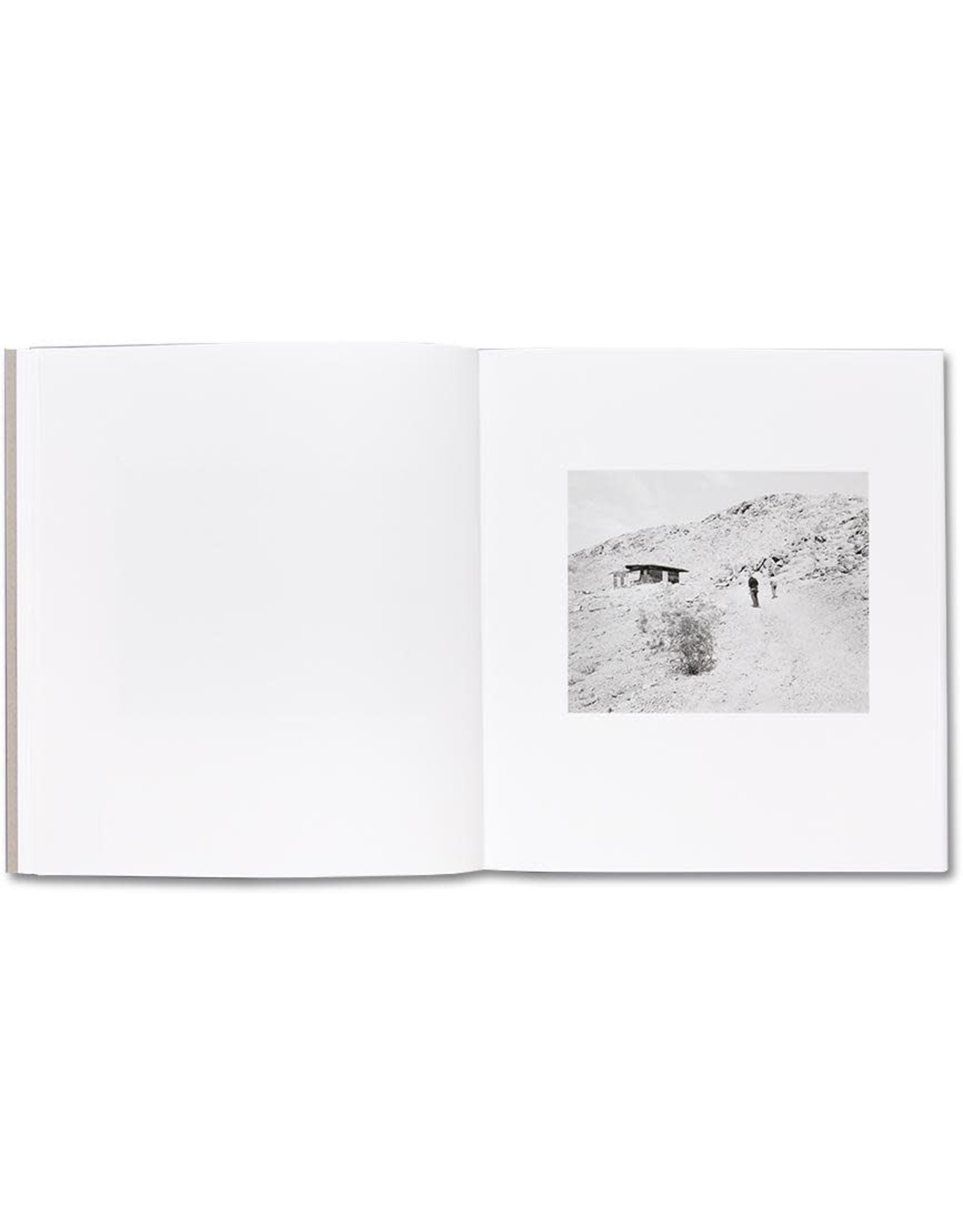 Susan Lipper: Domesticated Land (Signed)