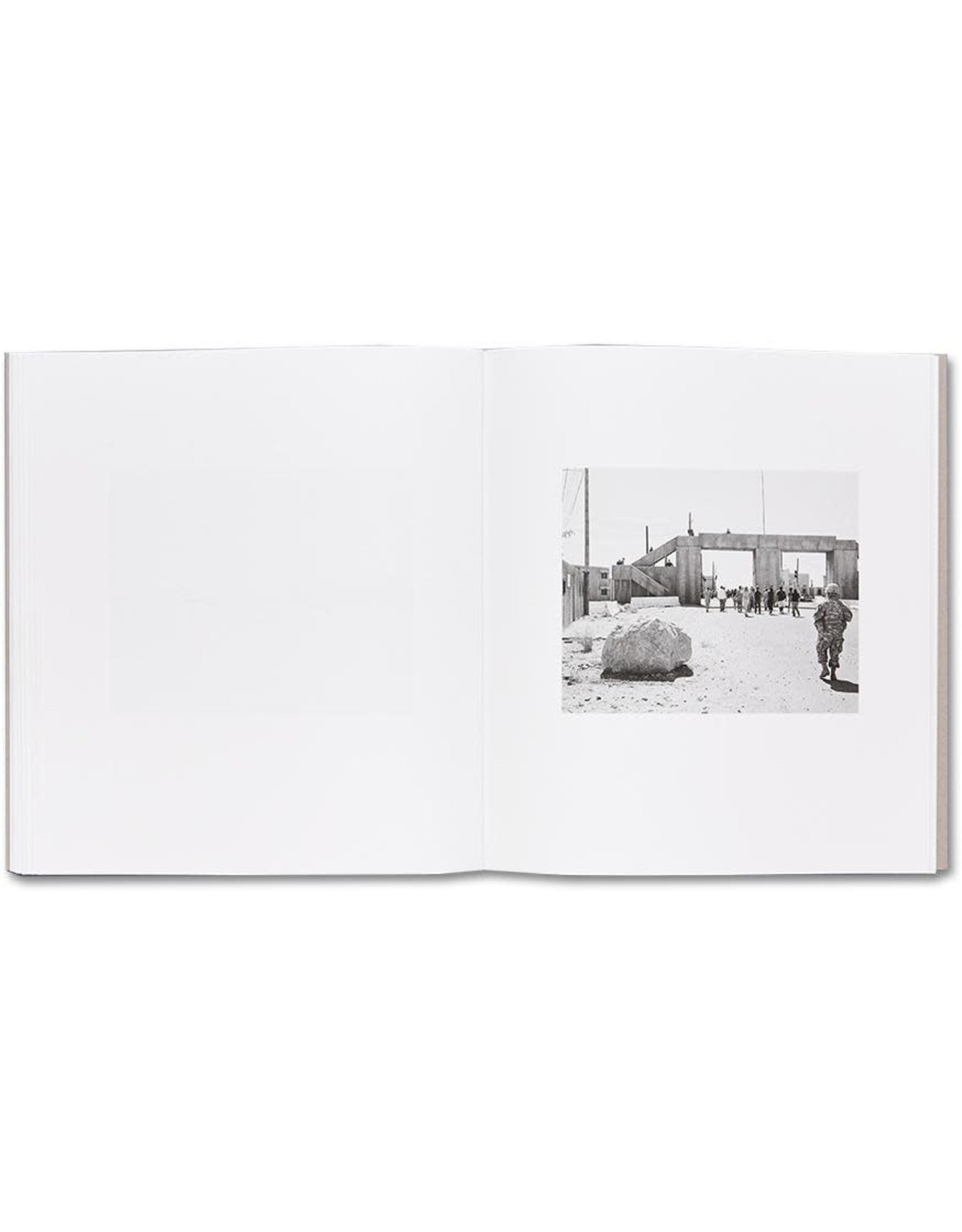 Susan Lipper: Domesticated Land (Signed)