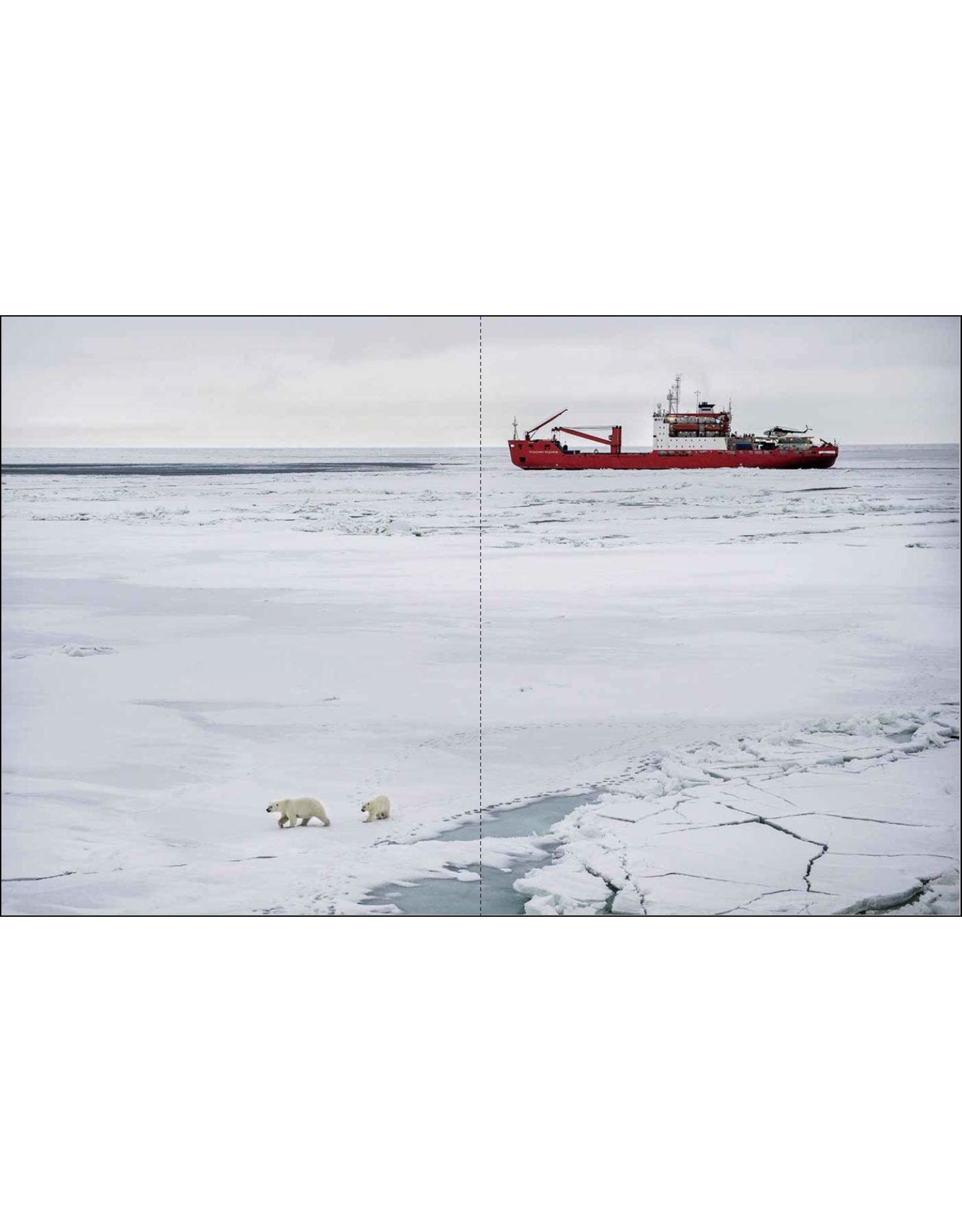 Esther Horvath: Into the Arctic Ice - The Largest Polar Expedition of All Time