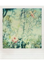 chronicle books Polaroid Notes - 20 Different Notecards and Envelopes