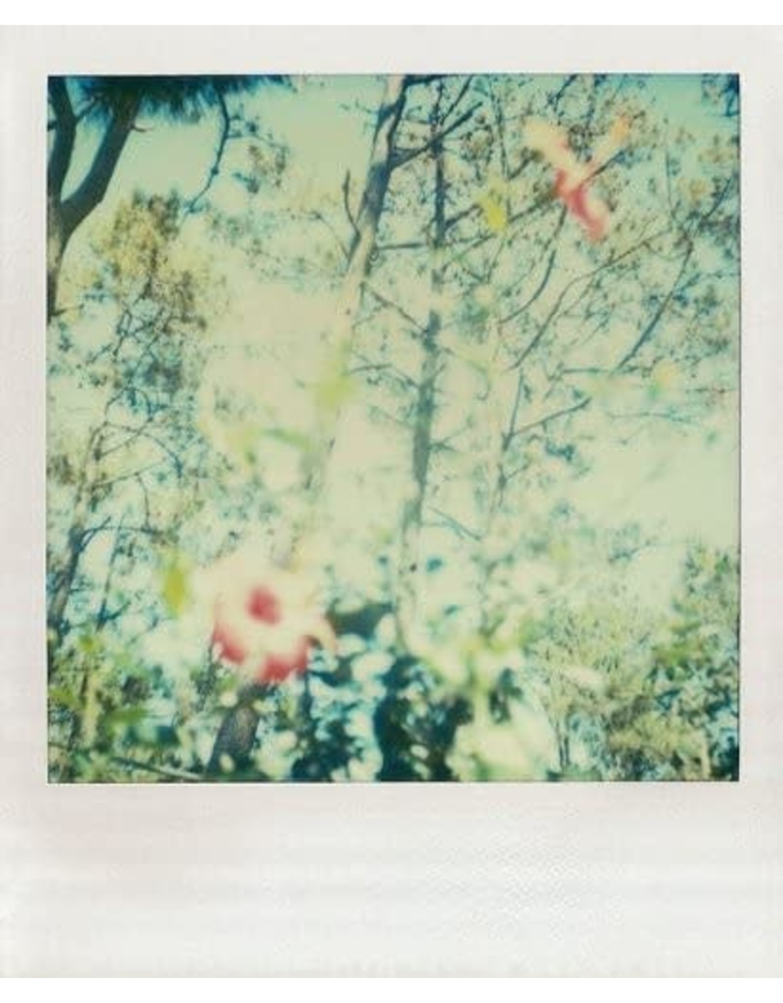 Polaroid Notes - 20 Different Notecards and Envelopes