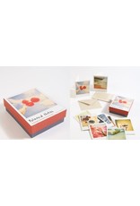 chronicle books Polaroid Notes - 20 Different Notecards and Envelopes