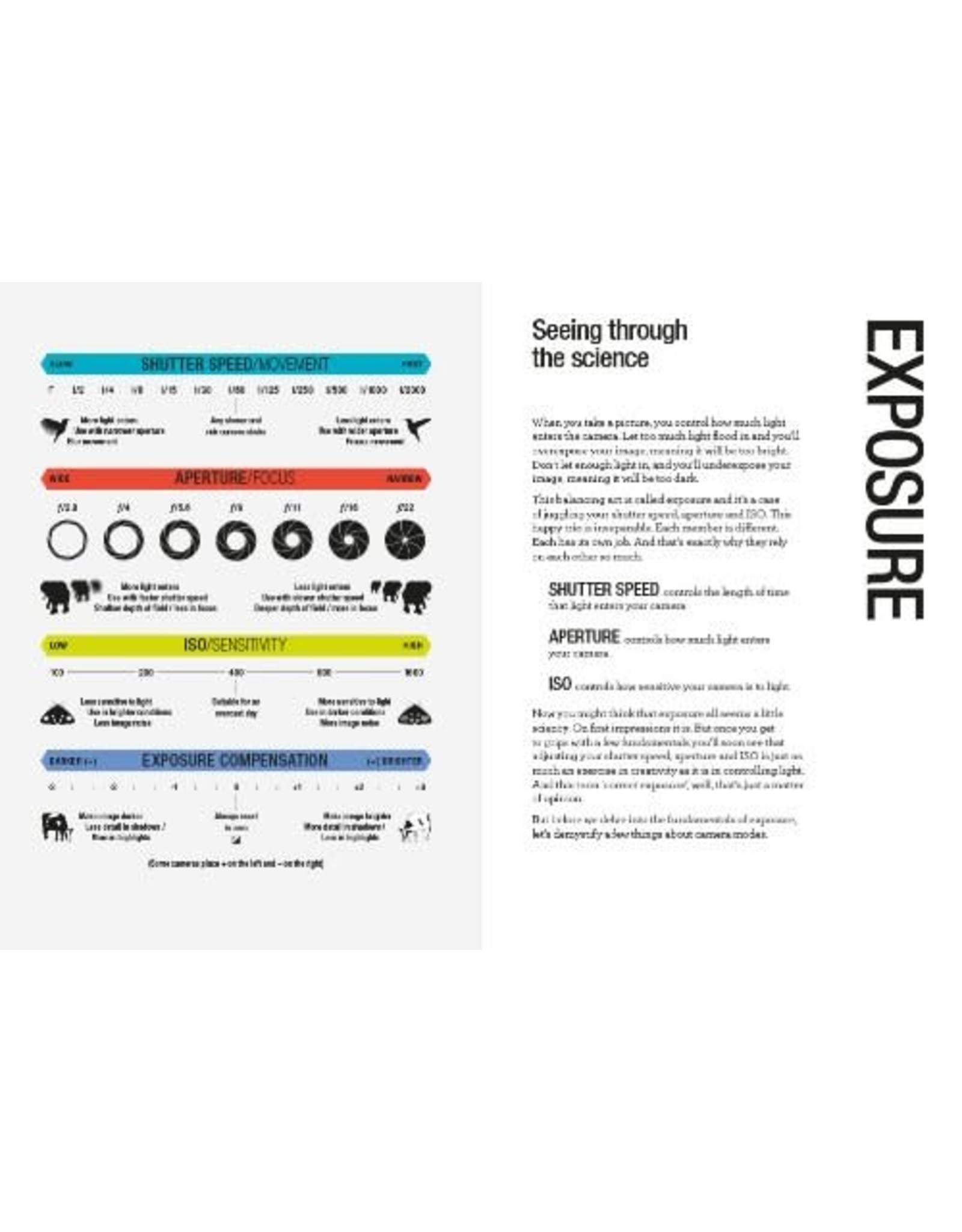 Read This If You Want To Take Great Photographs