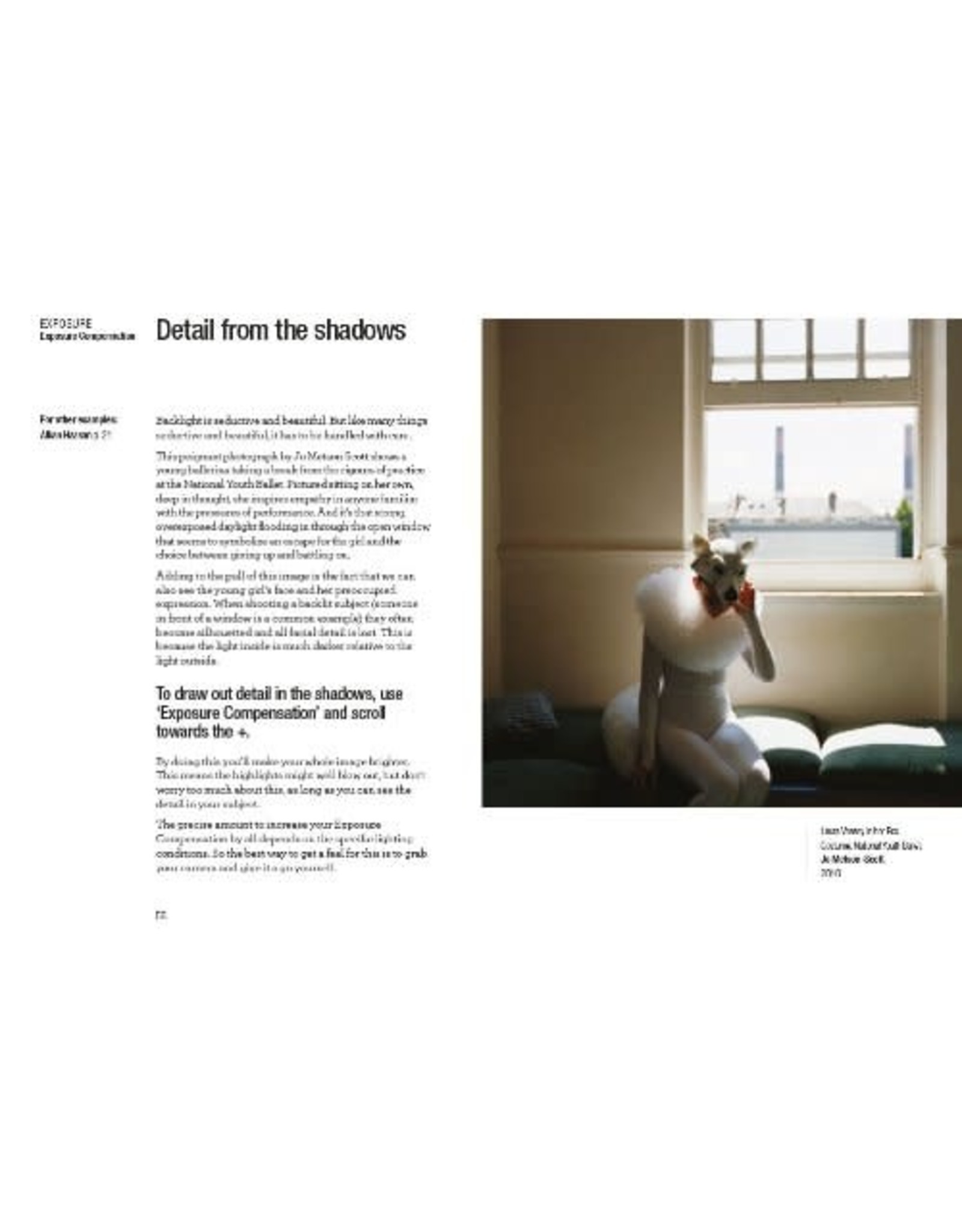 Read This If You Want To Take Great Photographs