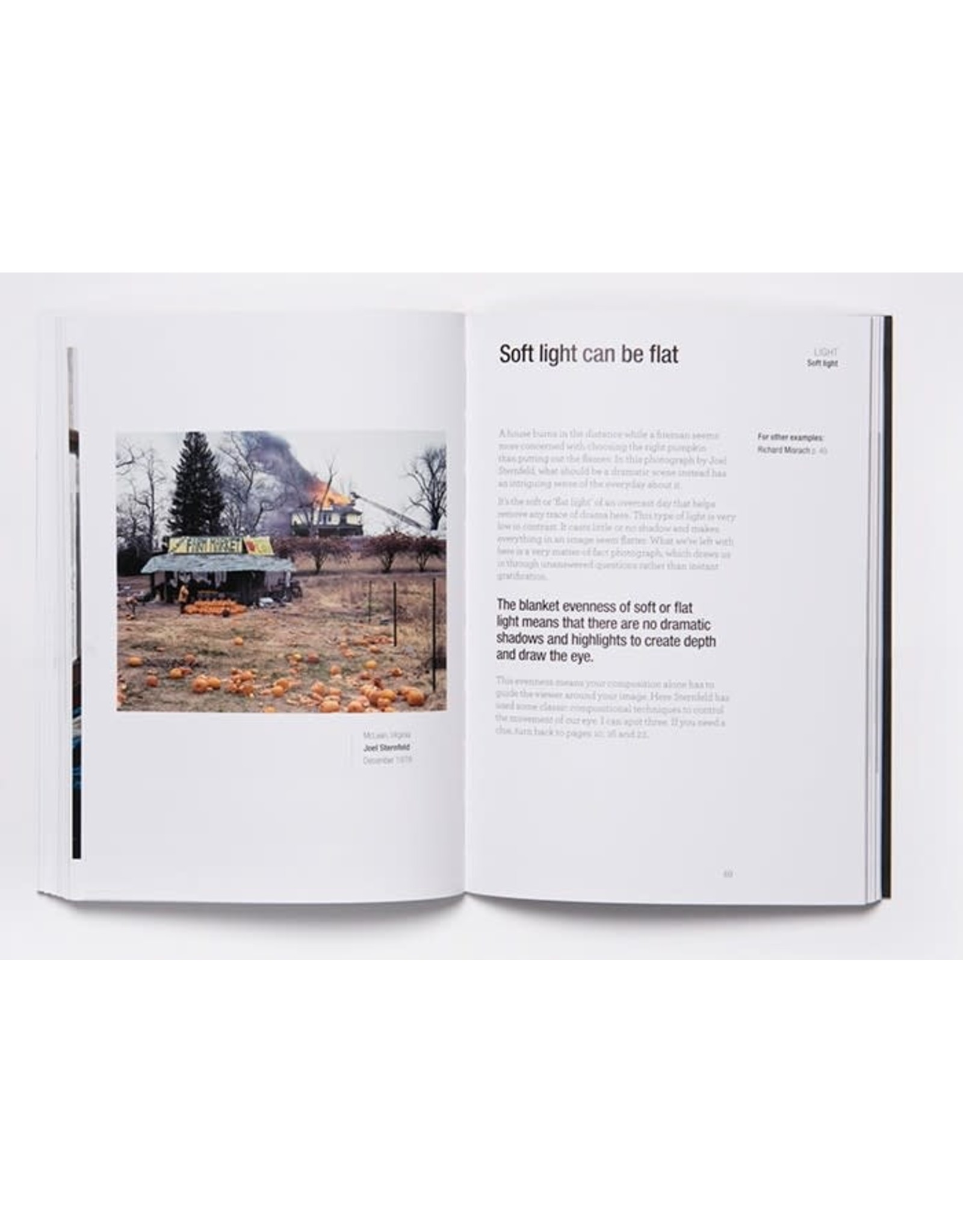 chronicle books Read This If You Want To Take Great Photographs
