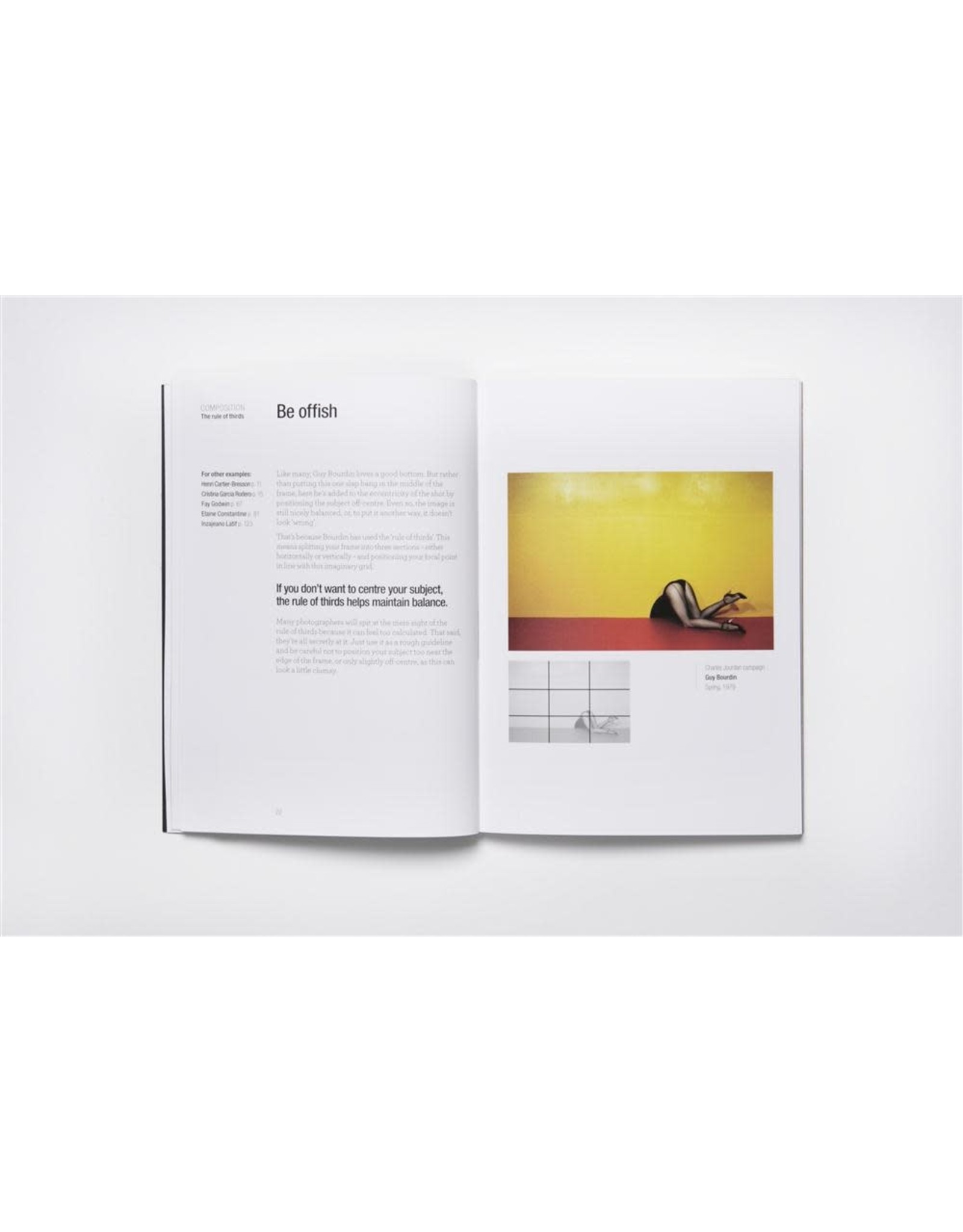 chronicle books Read This If You Want To Take Great Photographs