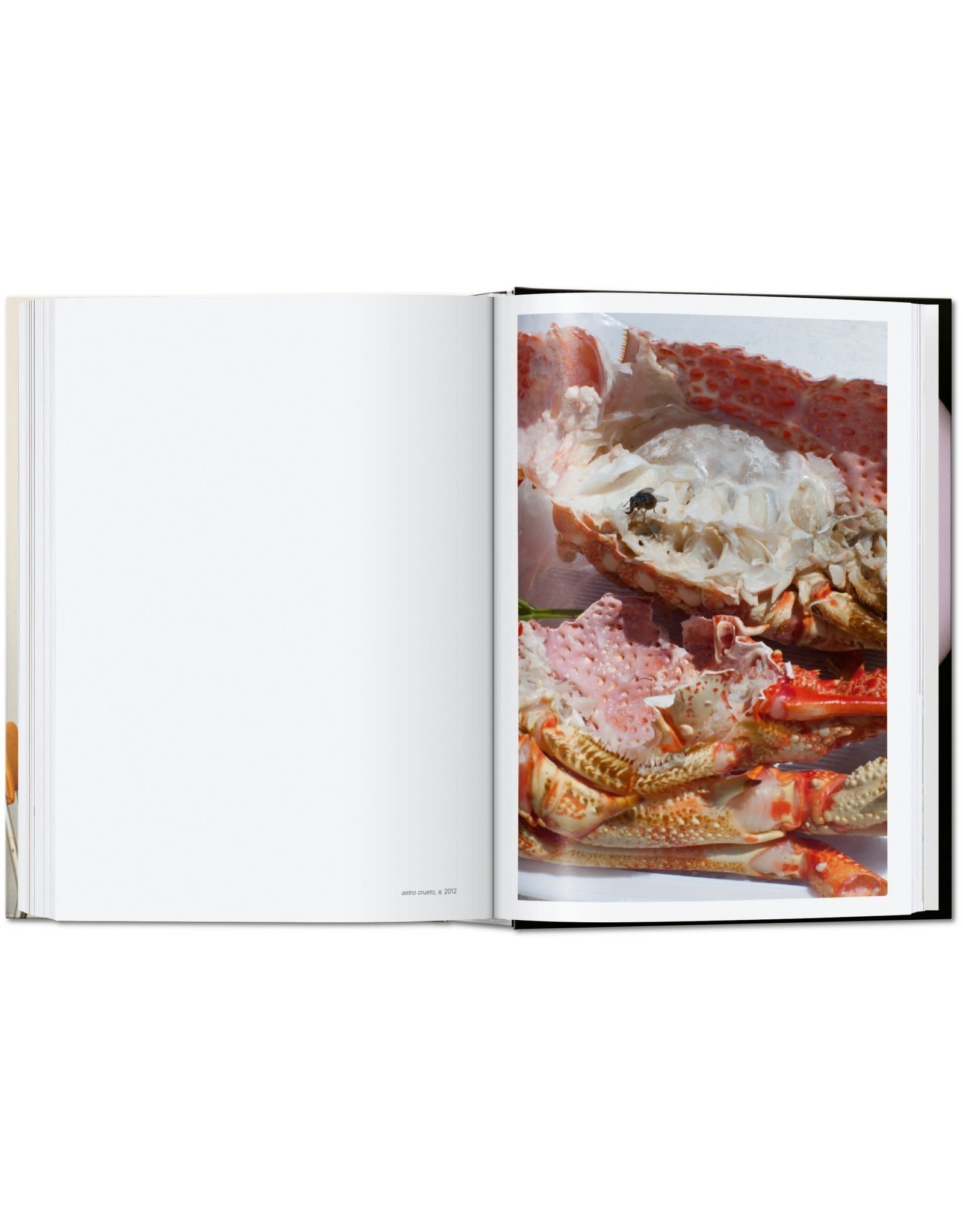 Wolfgang Tillmans: Four Books