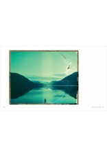 Polaroid Now: The History and Future of Polaroid Photography