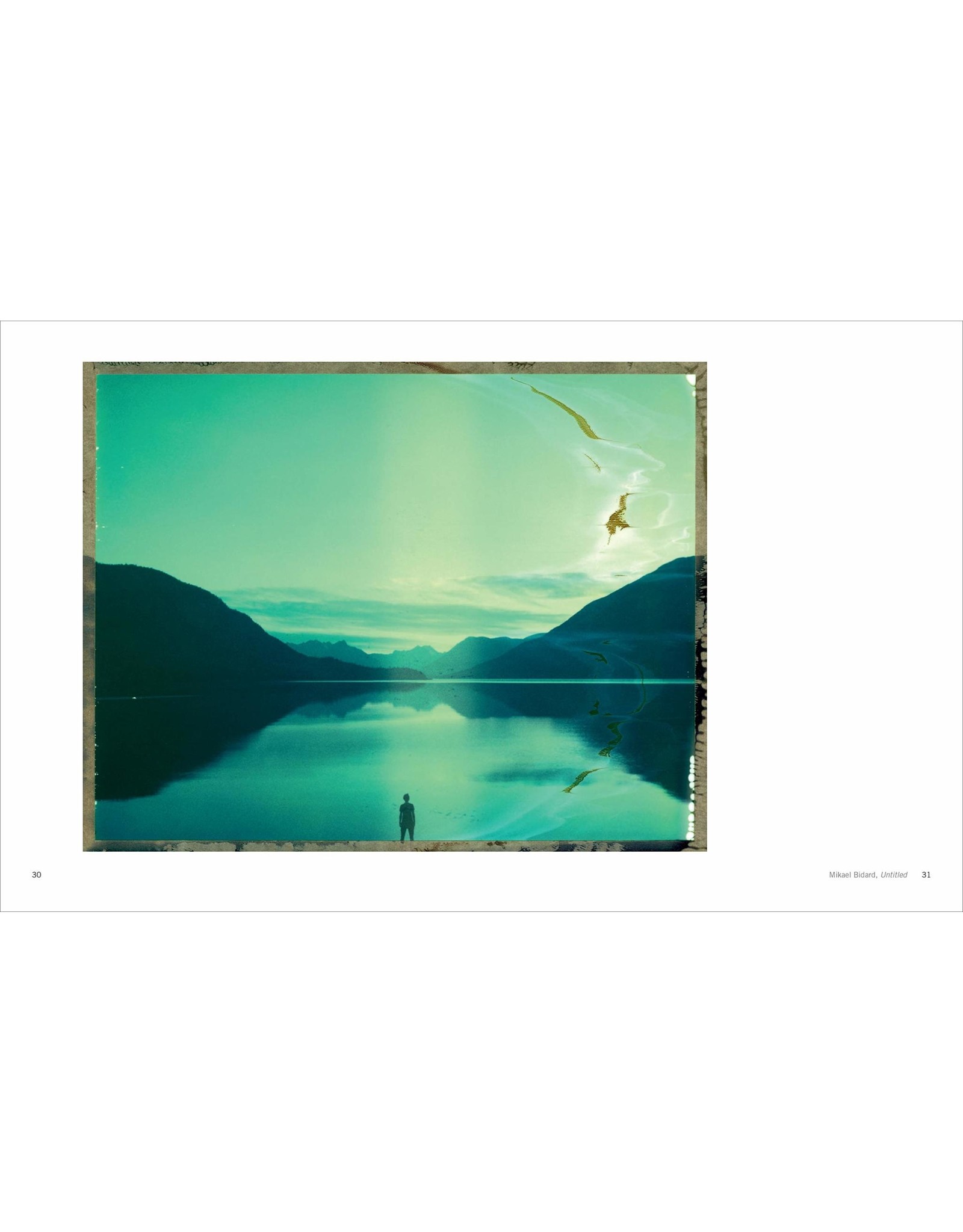 Polaroid Now: The History and Future of Polaroid Photography