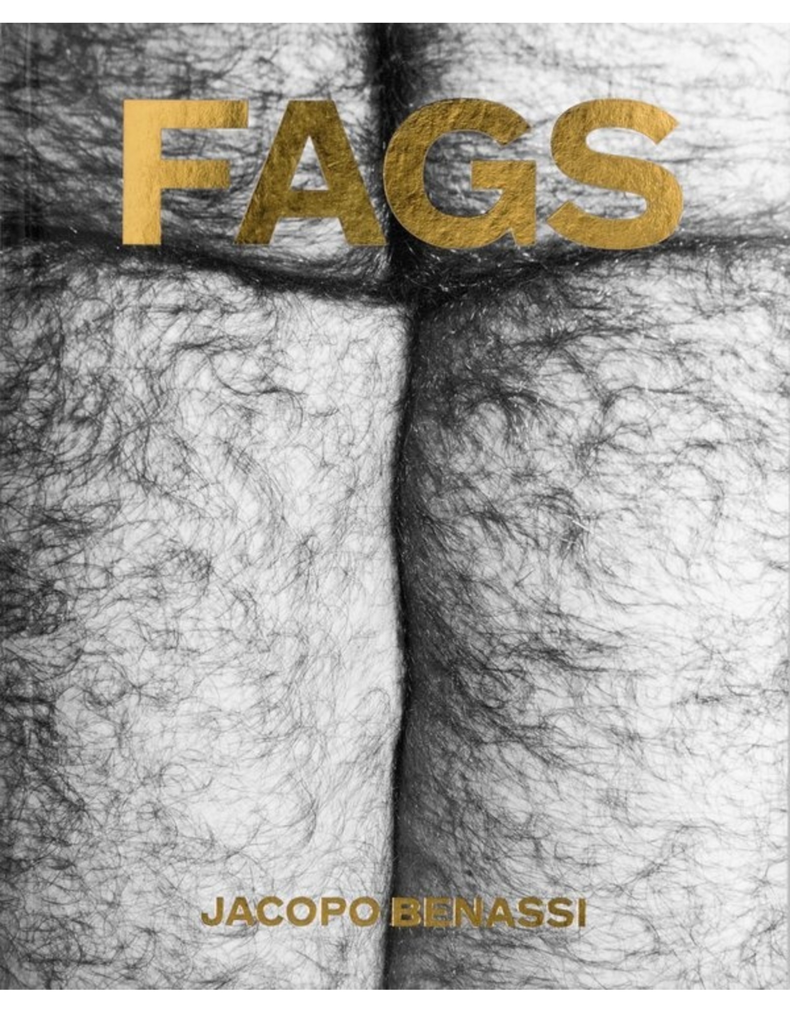 Jacopo Benassi: Fags