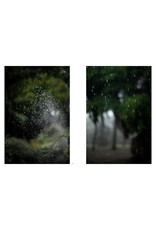 Terri Weifenbach: Cloud Physics