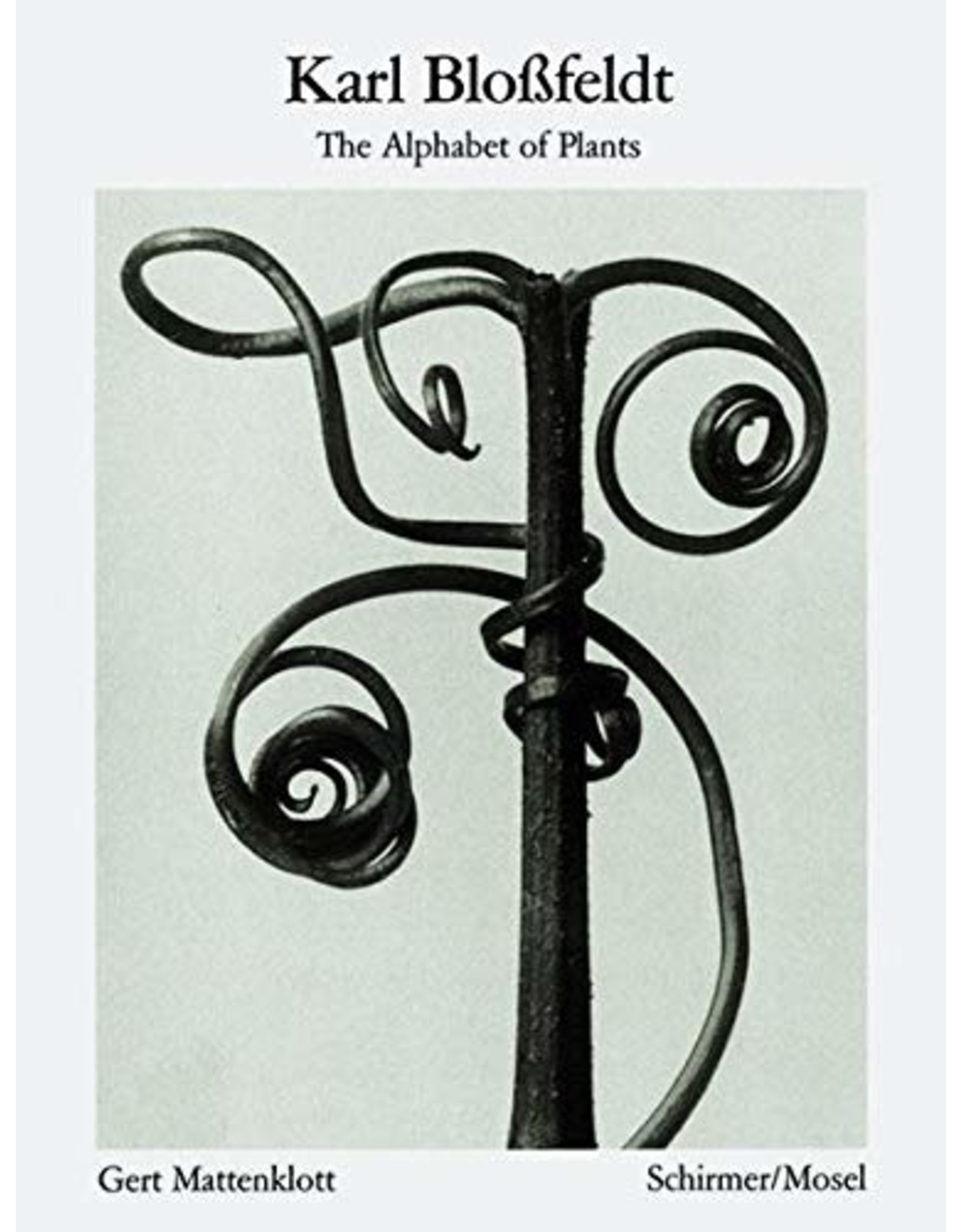 Karl Blossfeldt: Alphabet of Plants