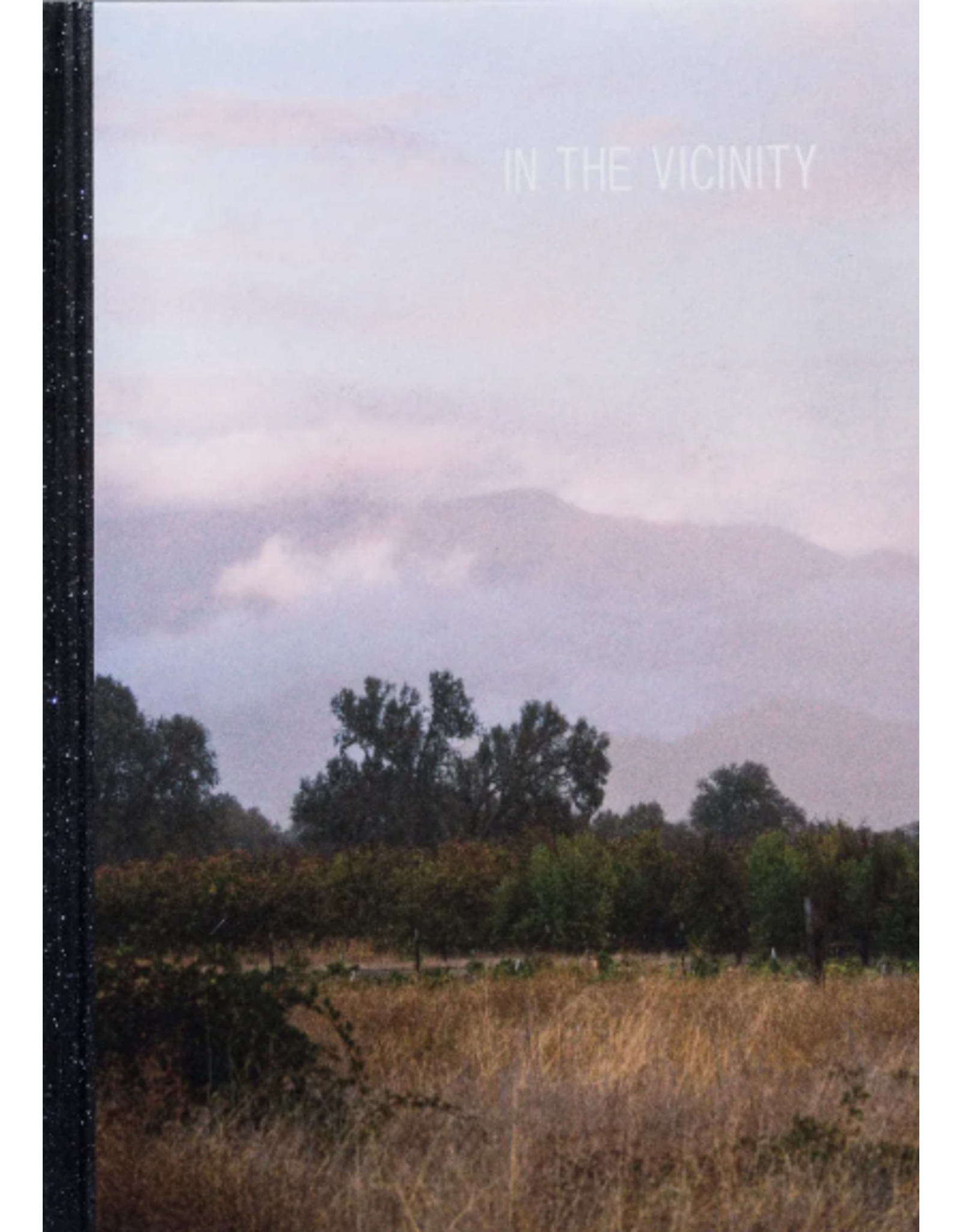 Ed Panar - In The Vicinity