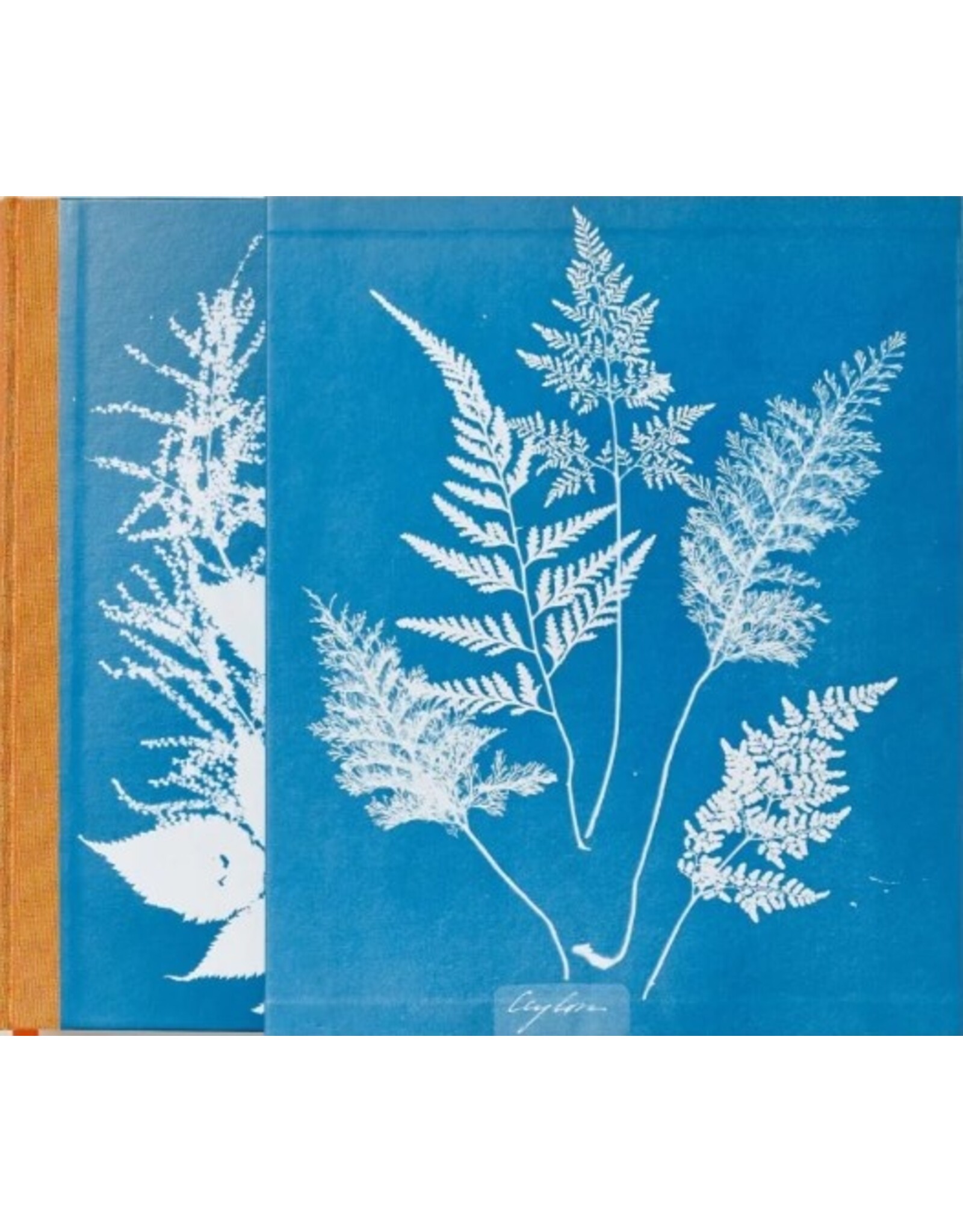 Anna Atkins: Cyanotypes