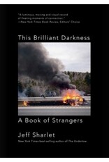 This Brilliant Darkness: A Book of Strangers