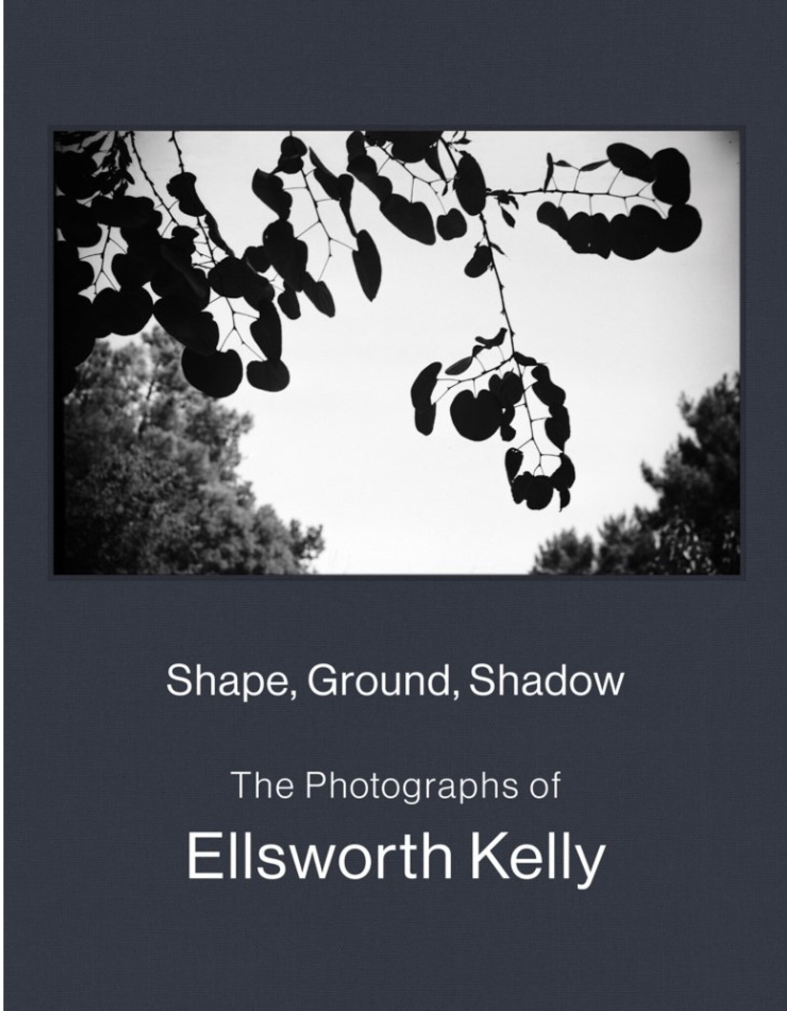 Shape, Ground, Shadow: The Photographs of Ellsworth Kelly