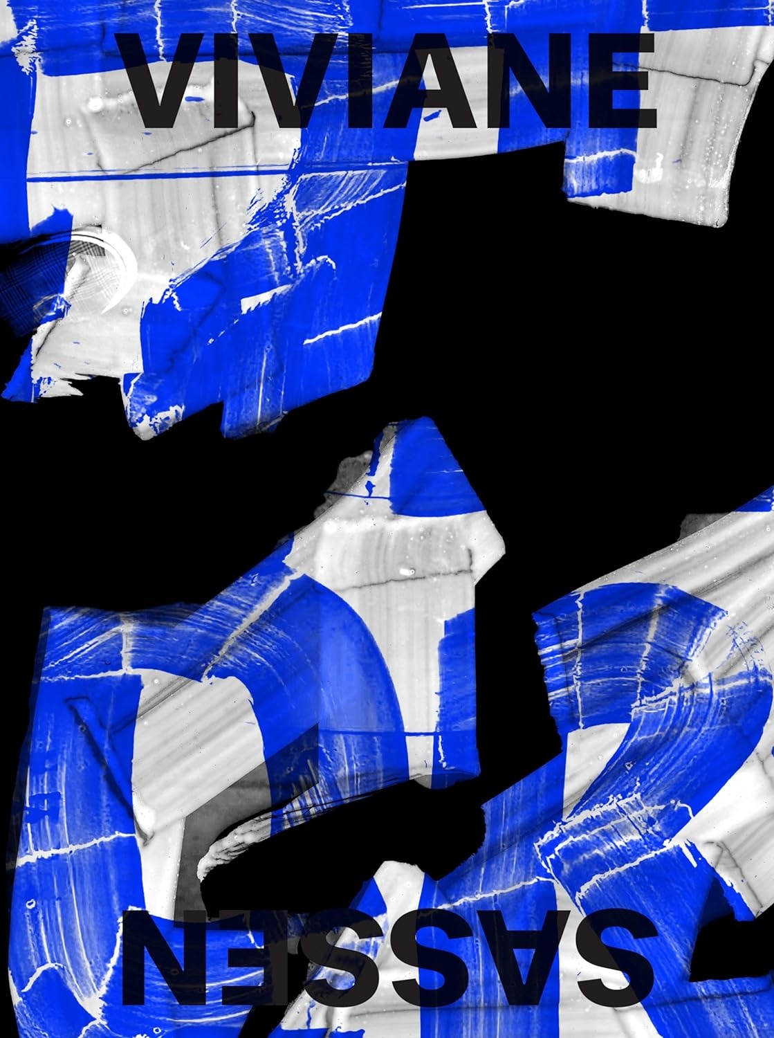 Viviane Sassen: Phosphor - International Center of Photography