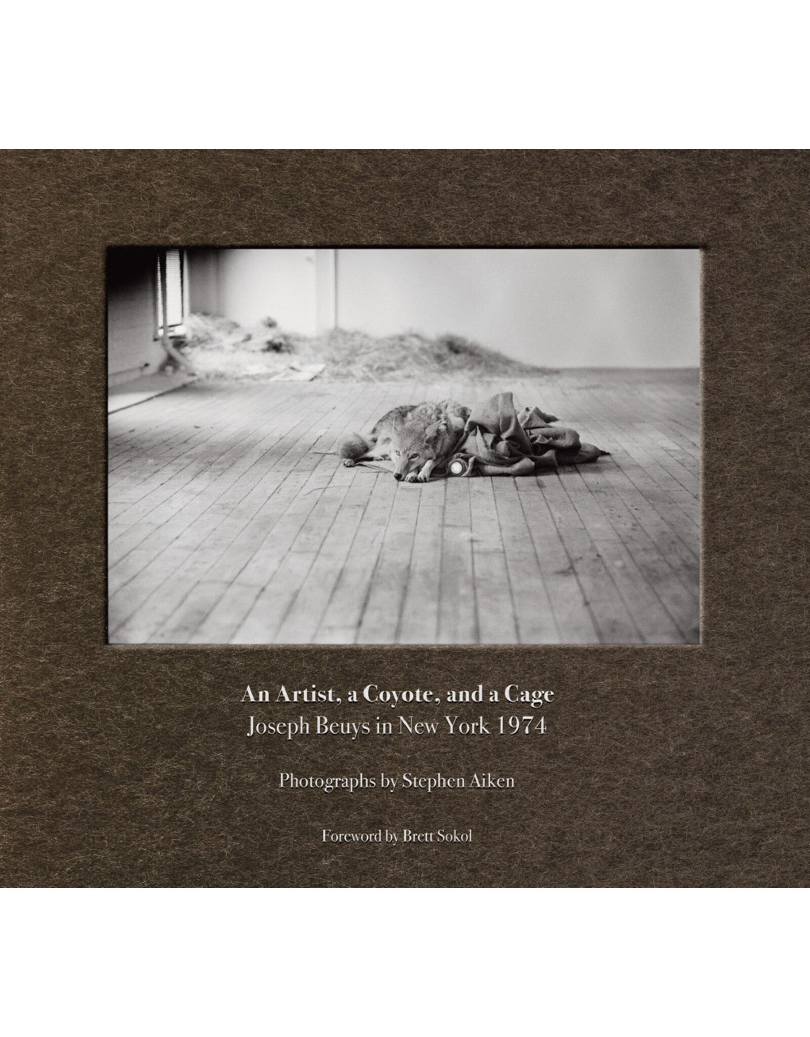 Stephen Aiken: An Artist, a Coyote, and a Cage