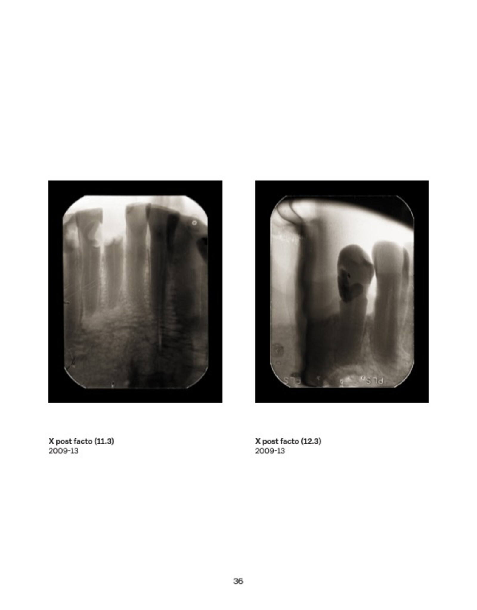 Muriel Hasbun: Tracing Terruño