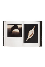 Avant-Garde Rising: The Photographic Vanguard in Modern Japan