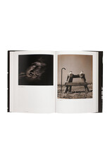 Avant-Garde Rising: The Photographic Vanguard in Modern Japan