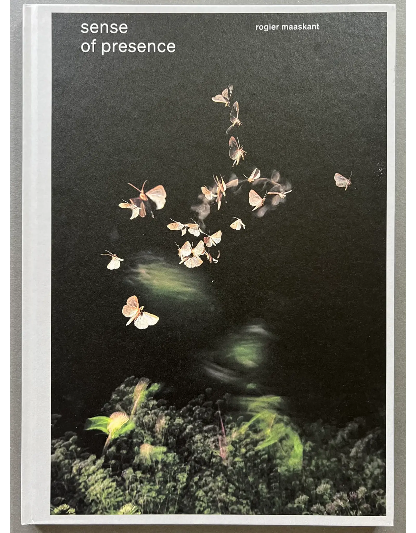 Rogier Maaskant: Sense of Presence