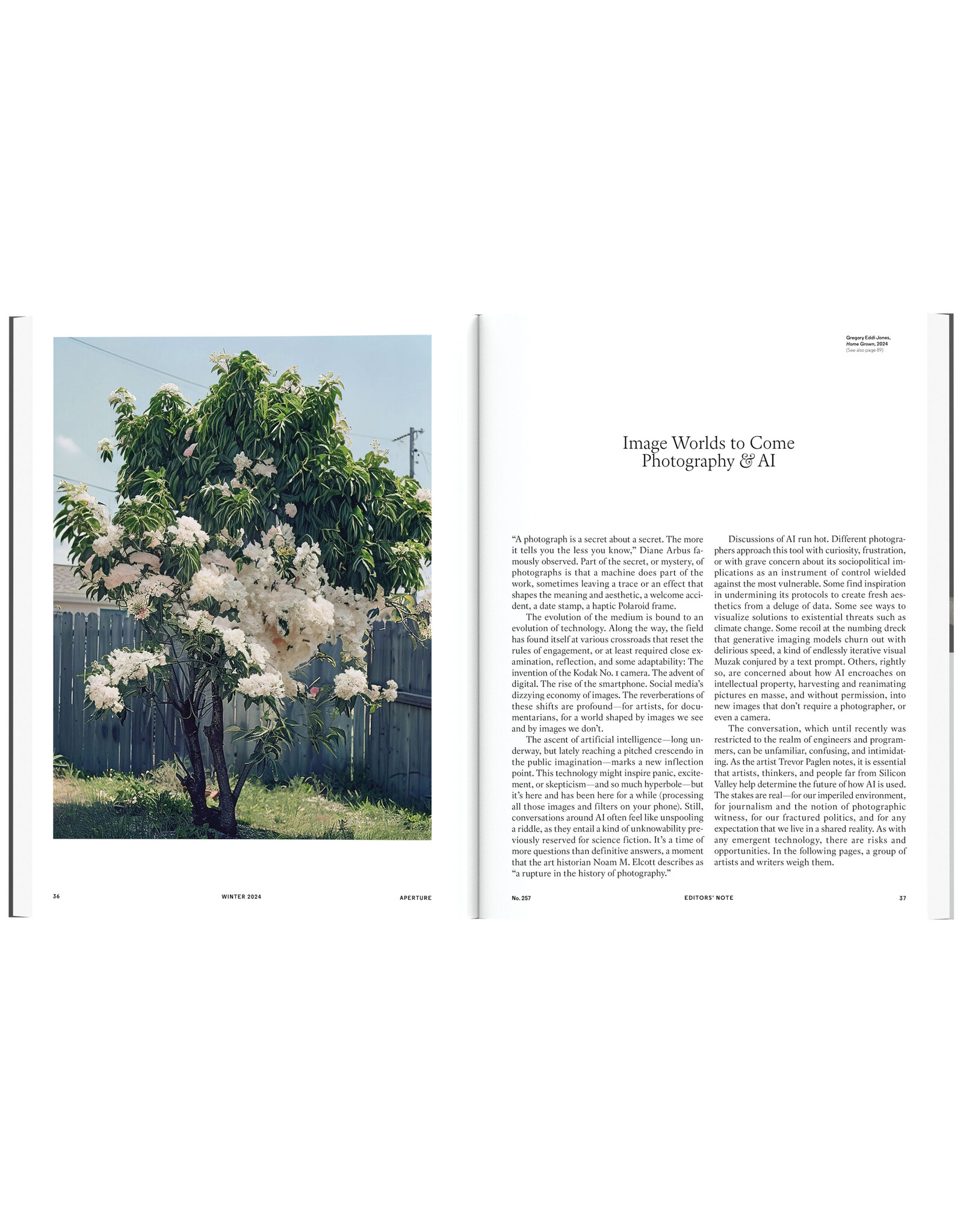 Aperture Magazine #257: Image Worlds to Come: Photography & AI