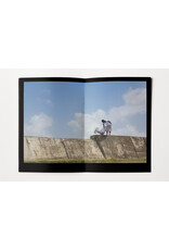 To Conjure: New Archives in Recent Photography (Publication)