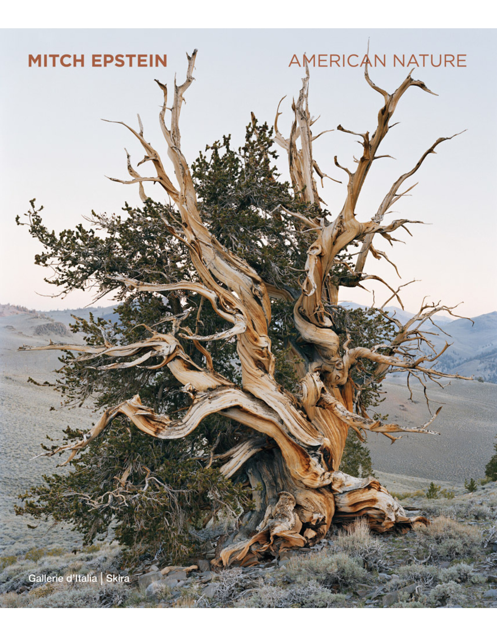 Mitch Epstein: American Nature