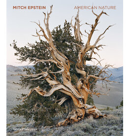 Mitch Epstein: American Nature