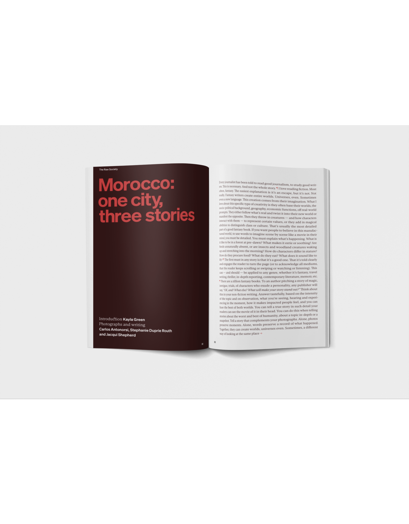 The Raw Society: Issue 3