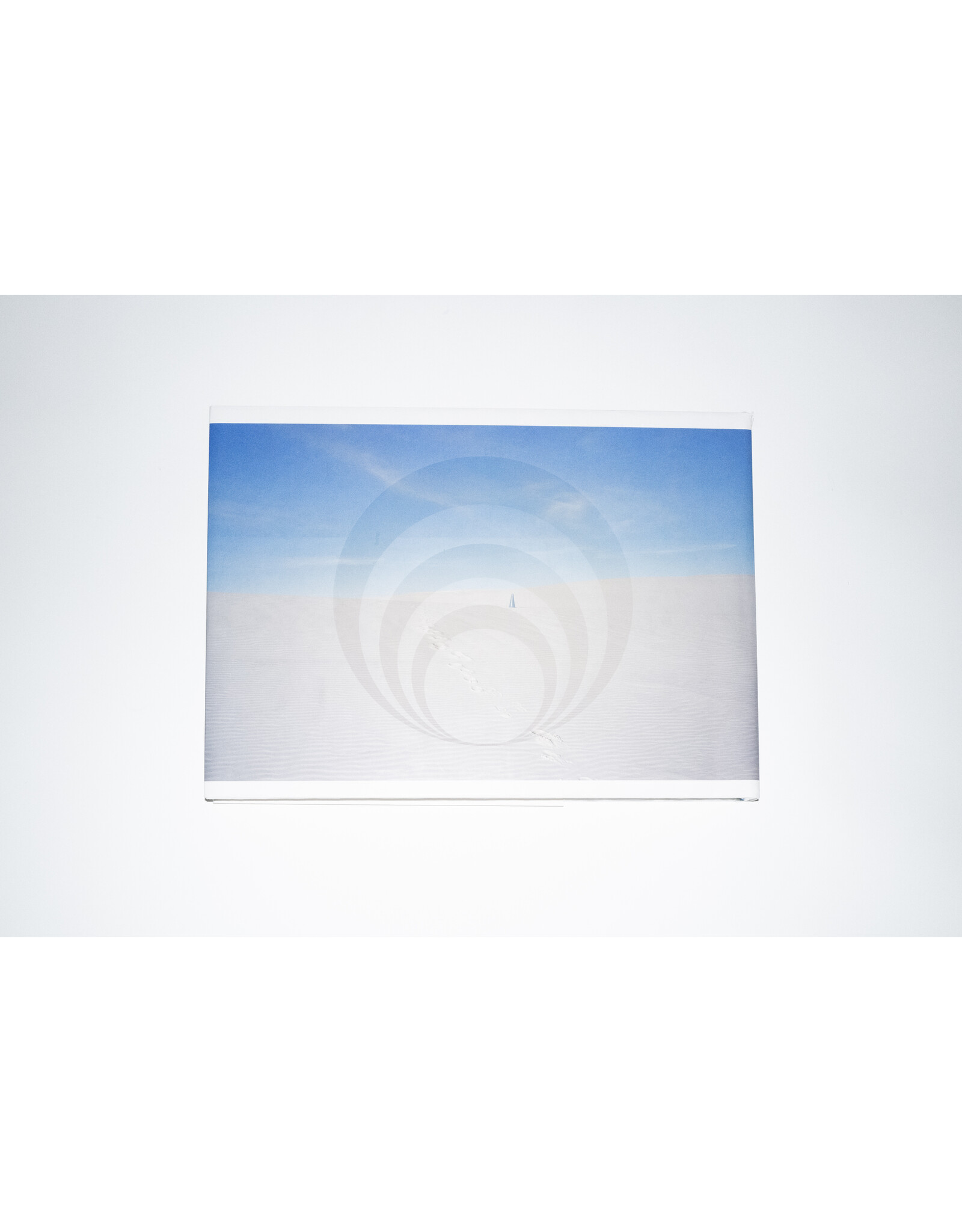 Allison Davies: Outerland (Used)