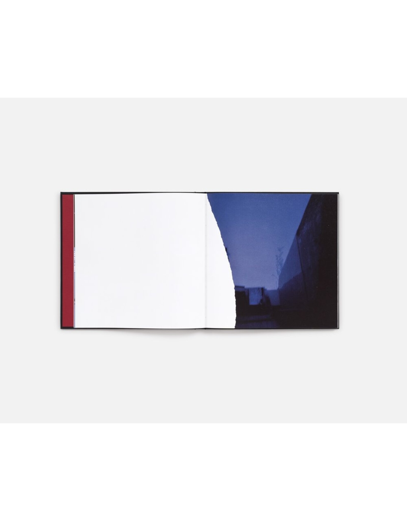 Cansu Korkmaz: Quite a While