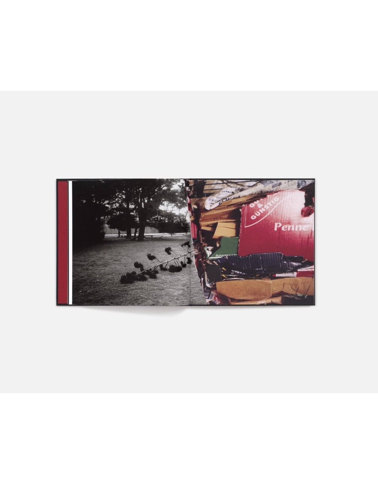 Cansu Korkmaz: Quite a While