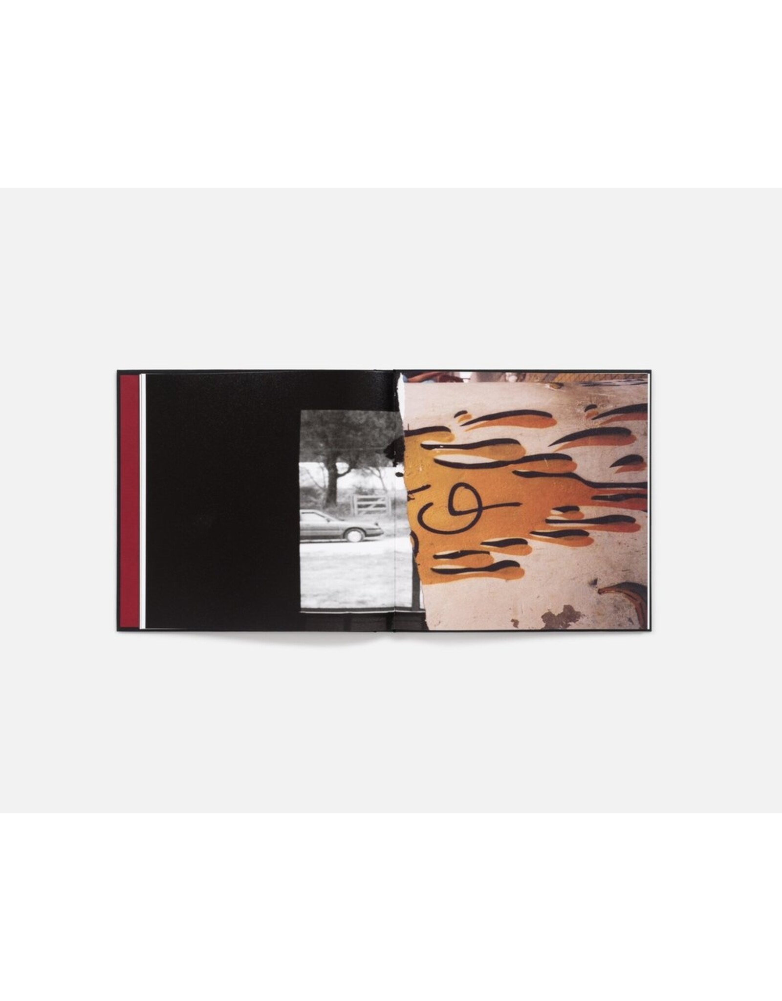 Cansu Korkmaz: Quite a While