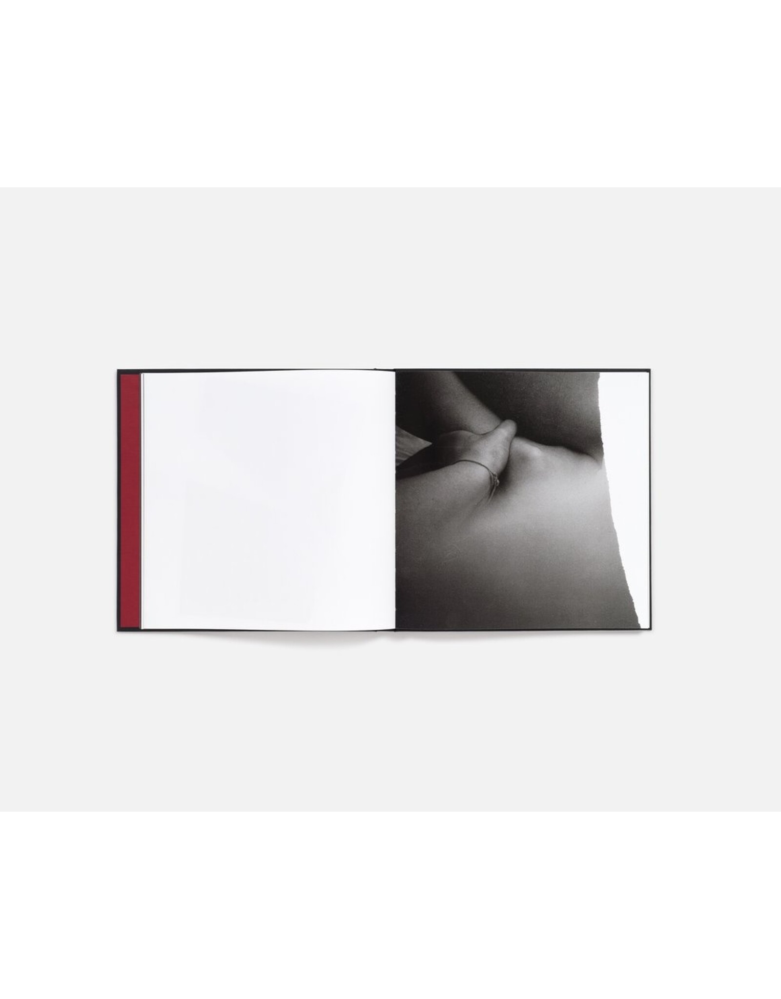 Cansu Korkmaz: Quite a While