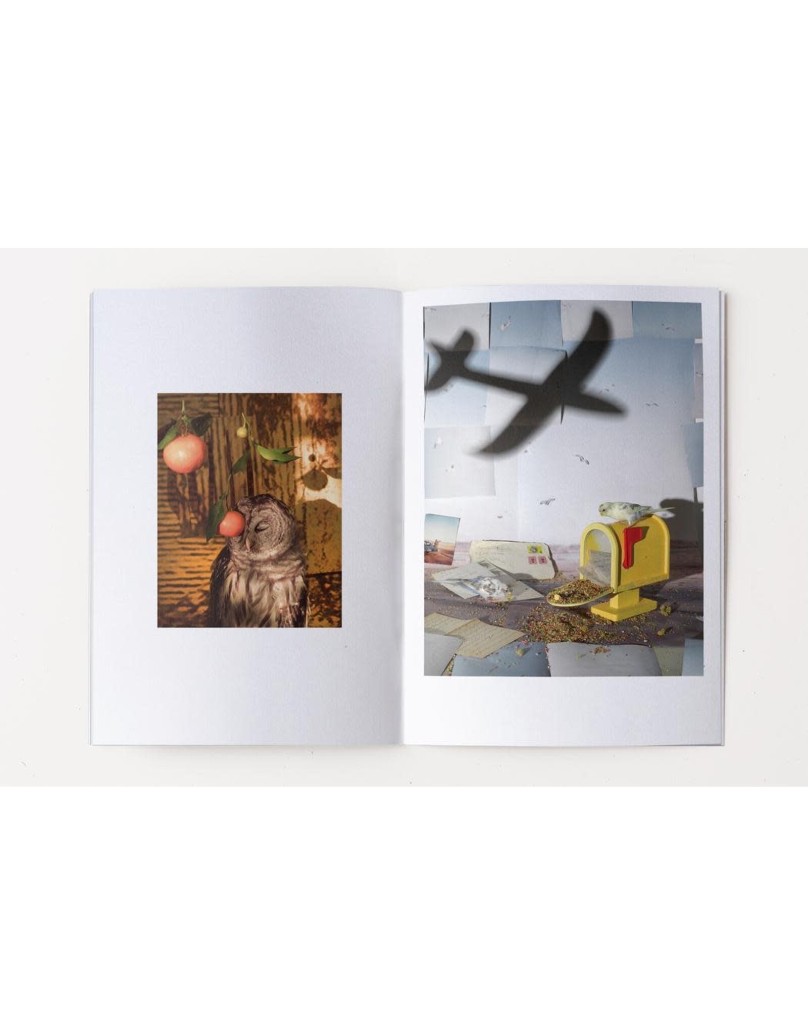 Sheida Soleimani: Panjereh پنجره