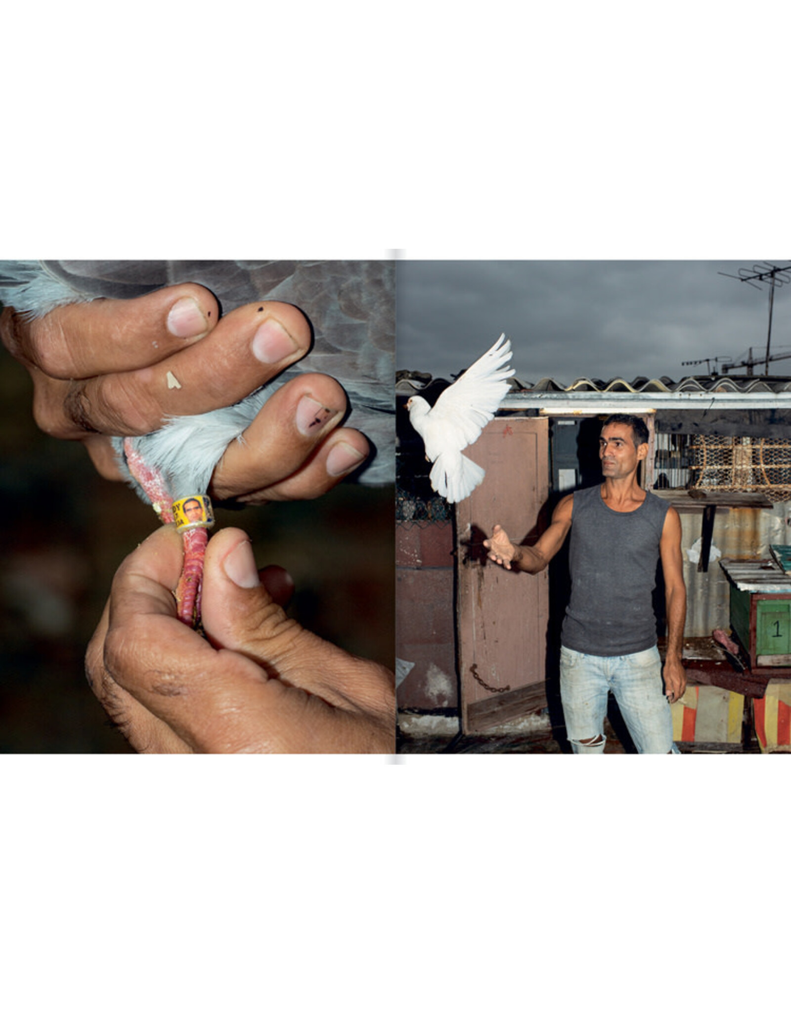 Carlos Jaramillo: Picadero
